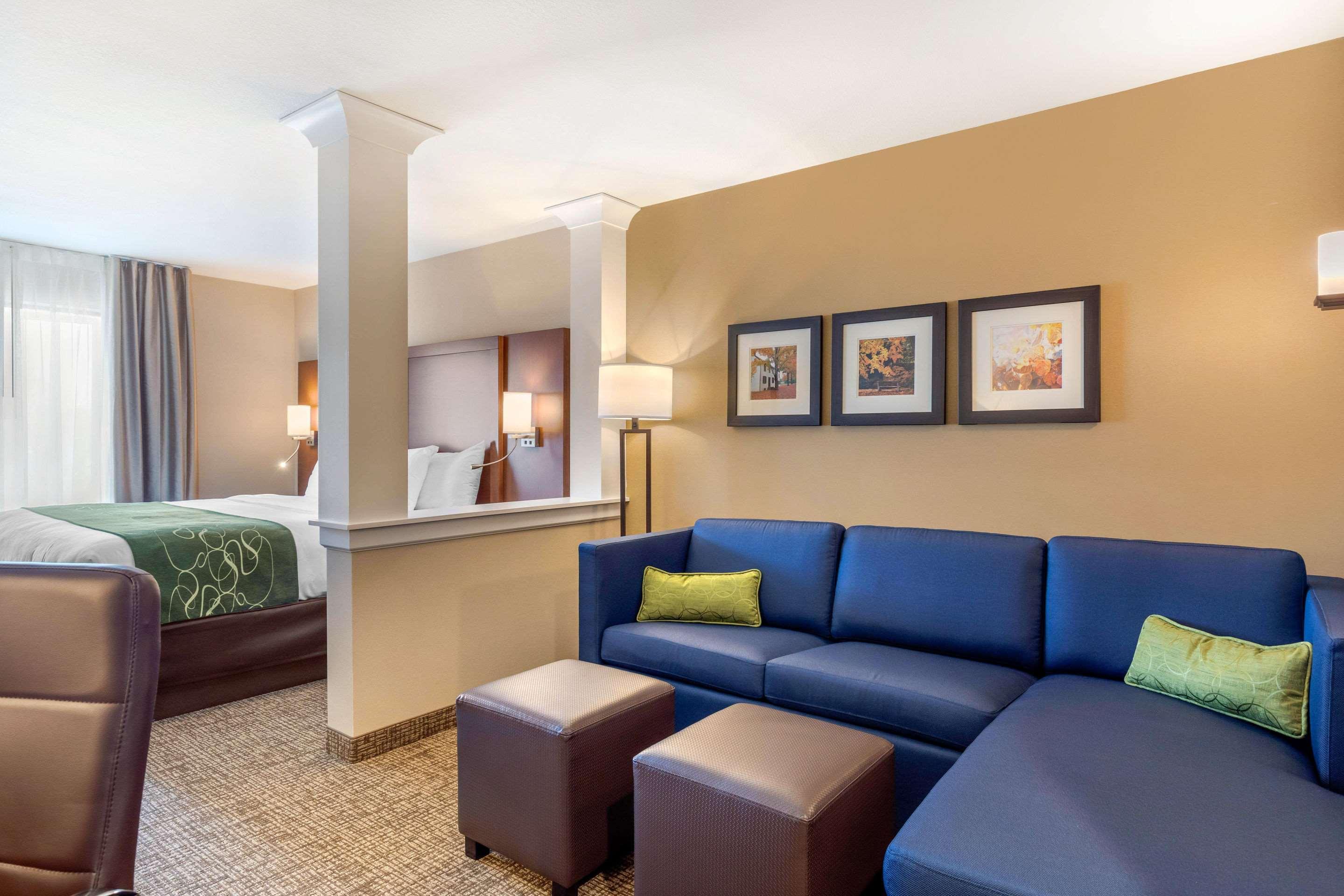 Comfort Inn & Suites Schenectady - Scotia מראה חיצוני תמונה