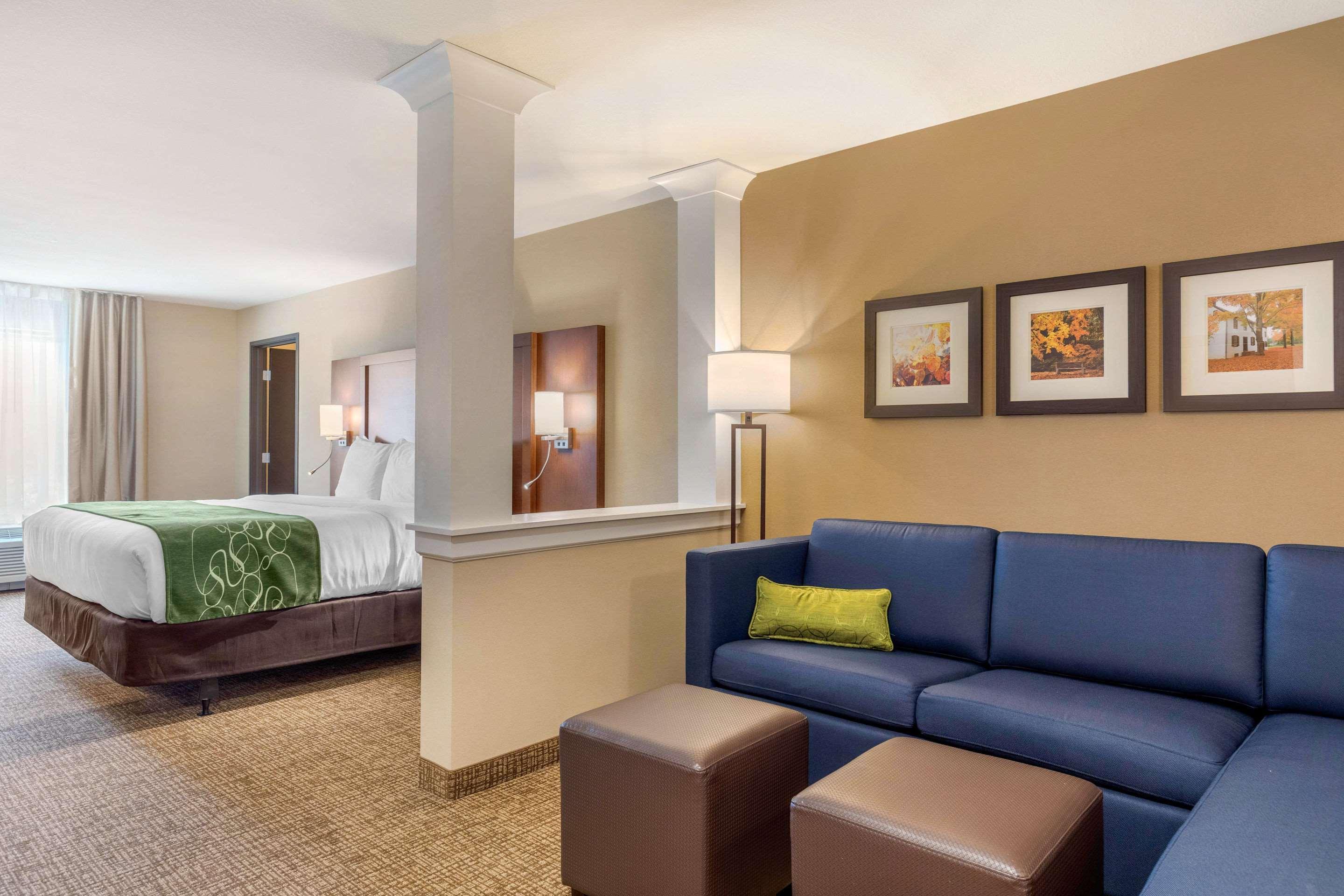 Comfort Inn & Suites Schenectady - Scotia מראה חיצוני תמונה