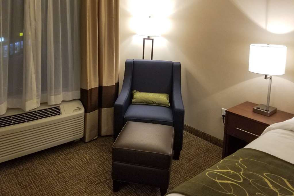 Comfort Inn & Suites Schenectady - Scotia חדר תמונה